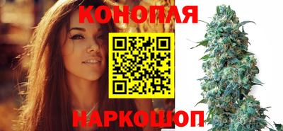 PSILOCYBIN Славгород