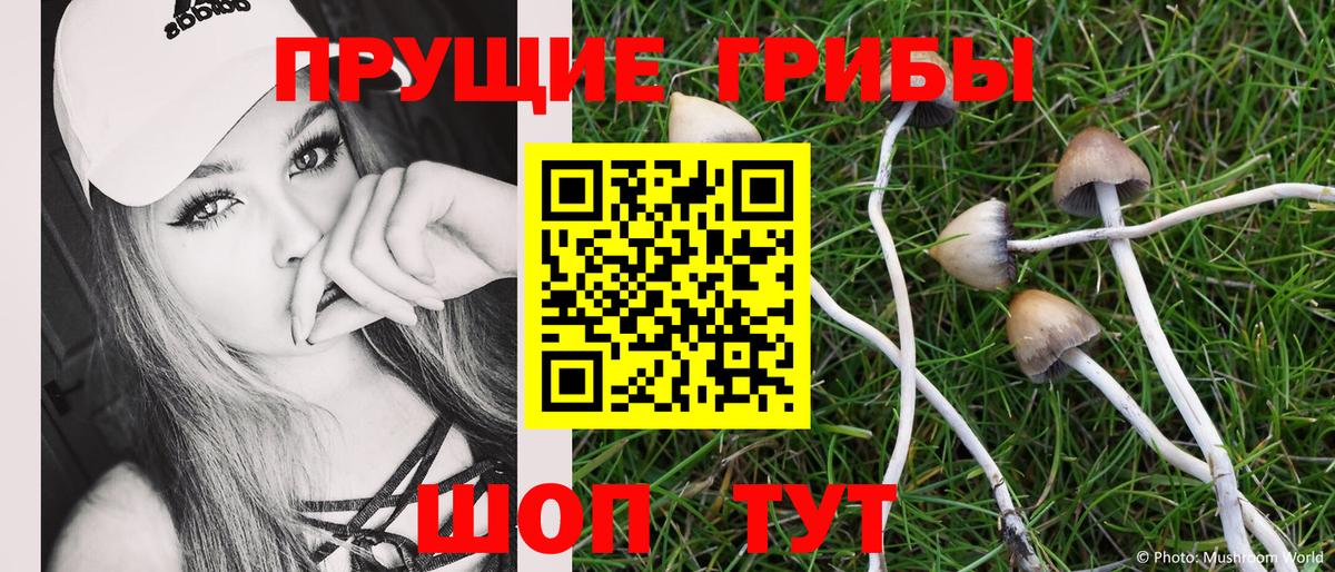 Псилоцибиновые грибы GOLDEN TEACHER  Вход с VPN  Прокопьевск 